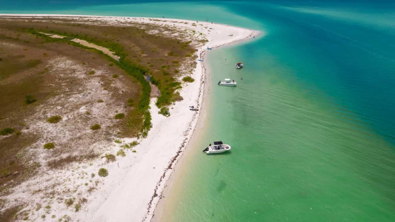 Take a Day Trip to Caladesi Island State Park