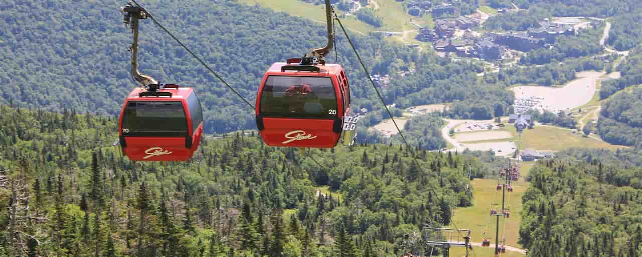 Take a Gondola SkyRide