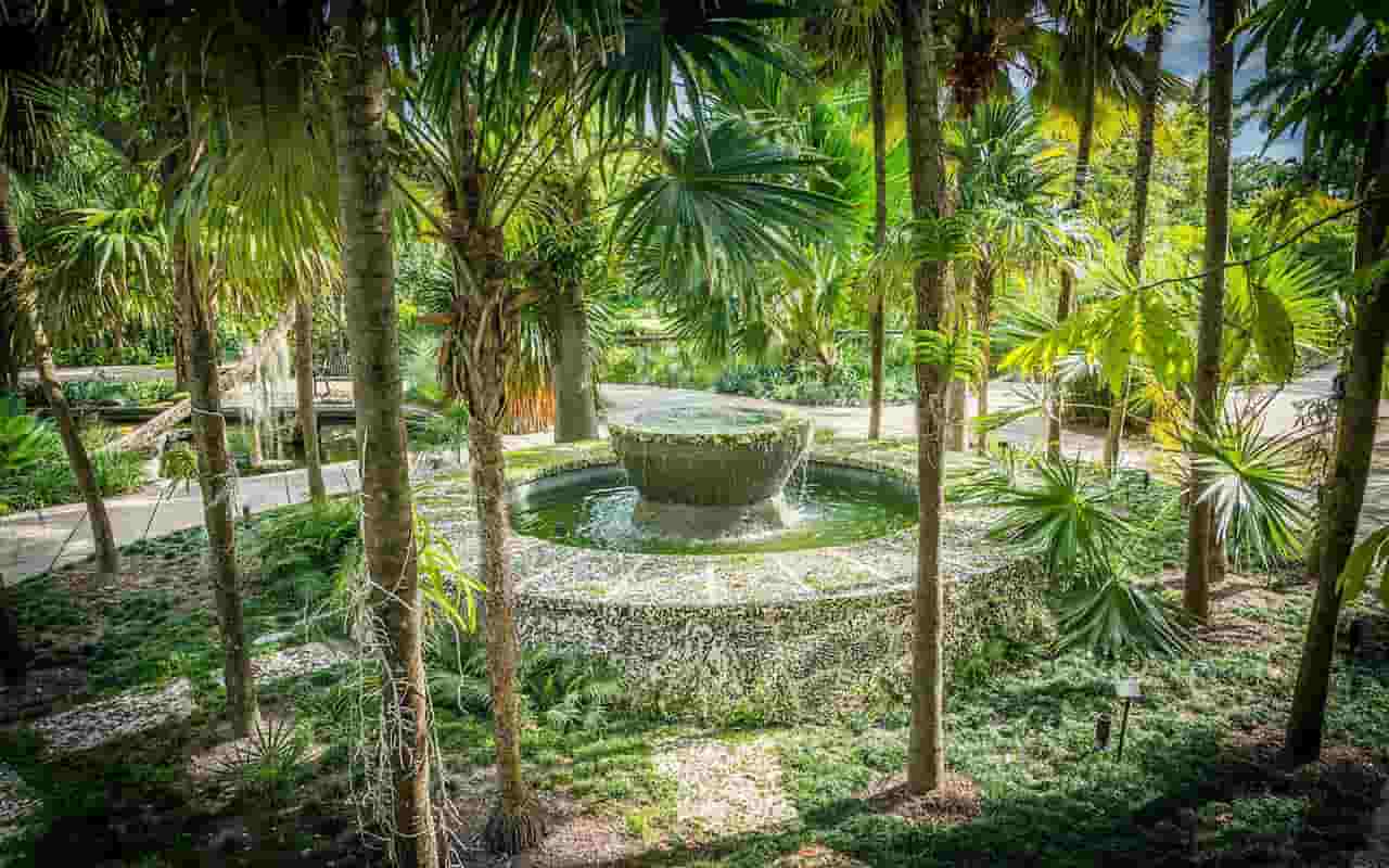 The Miami Beach Botanical Garden