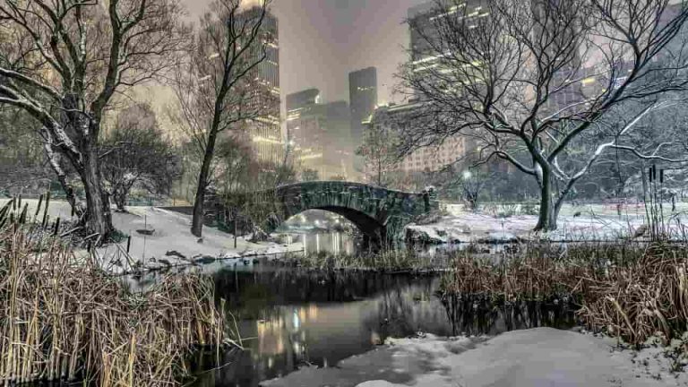 Top 10 Christmas Decorations in NYC Best Spots Photos