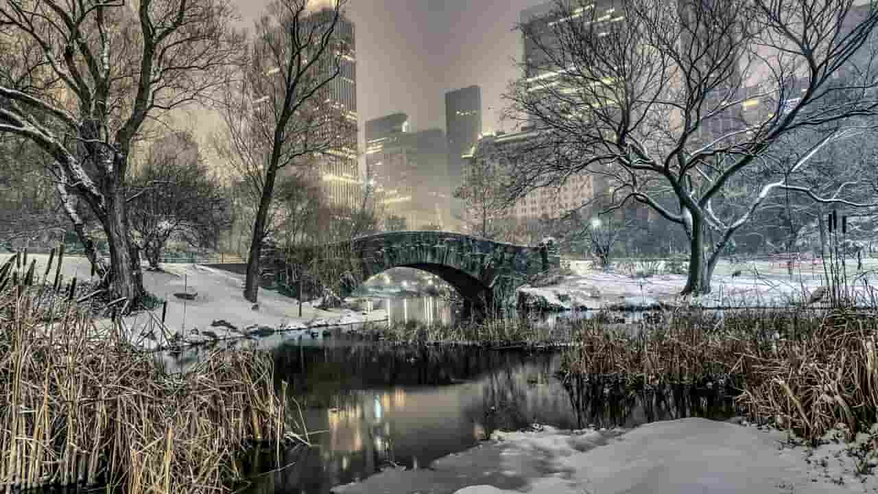 Top 10 Christmas Decorations in NYC Best Spots Photos