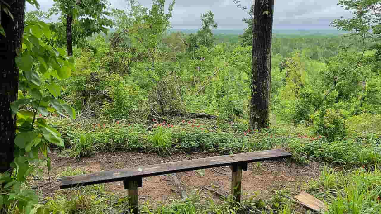 Torreya State Park