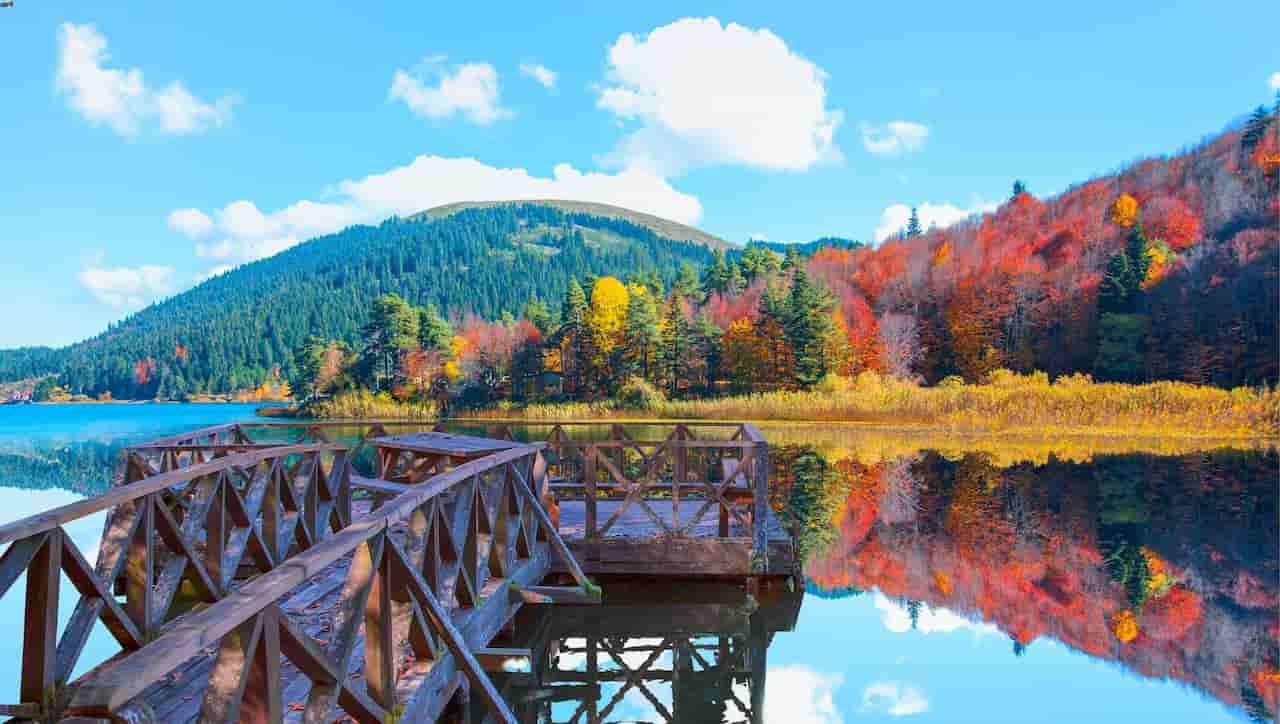 Unique Autumn