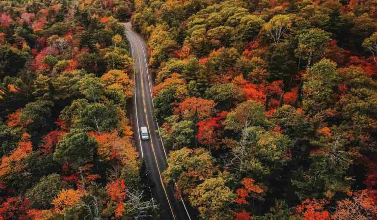 Vermont Fall Road Trip 25 Foliage Covered Bridges More