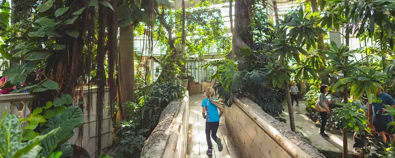 Visit The United States Botanic Garden