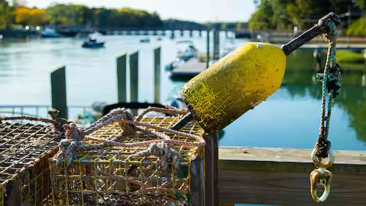 Visit the John Hancock Wharf