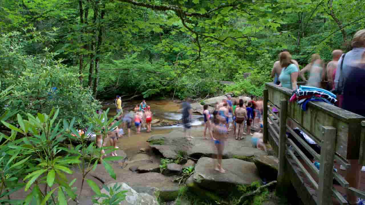 What Is The Best Month To Visit Asheville North Carolina Pisgah National Forest
