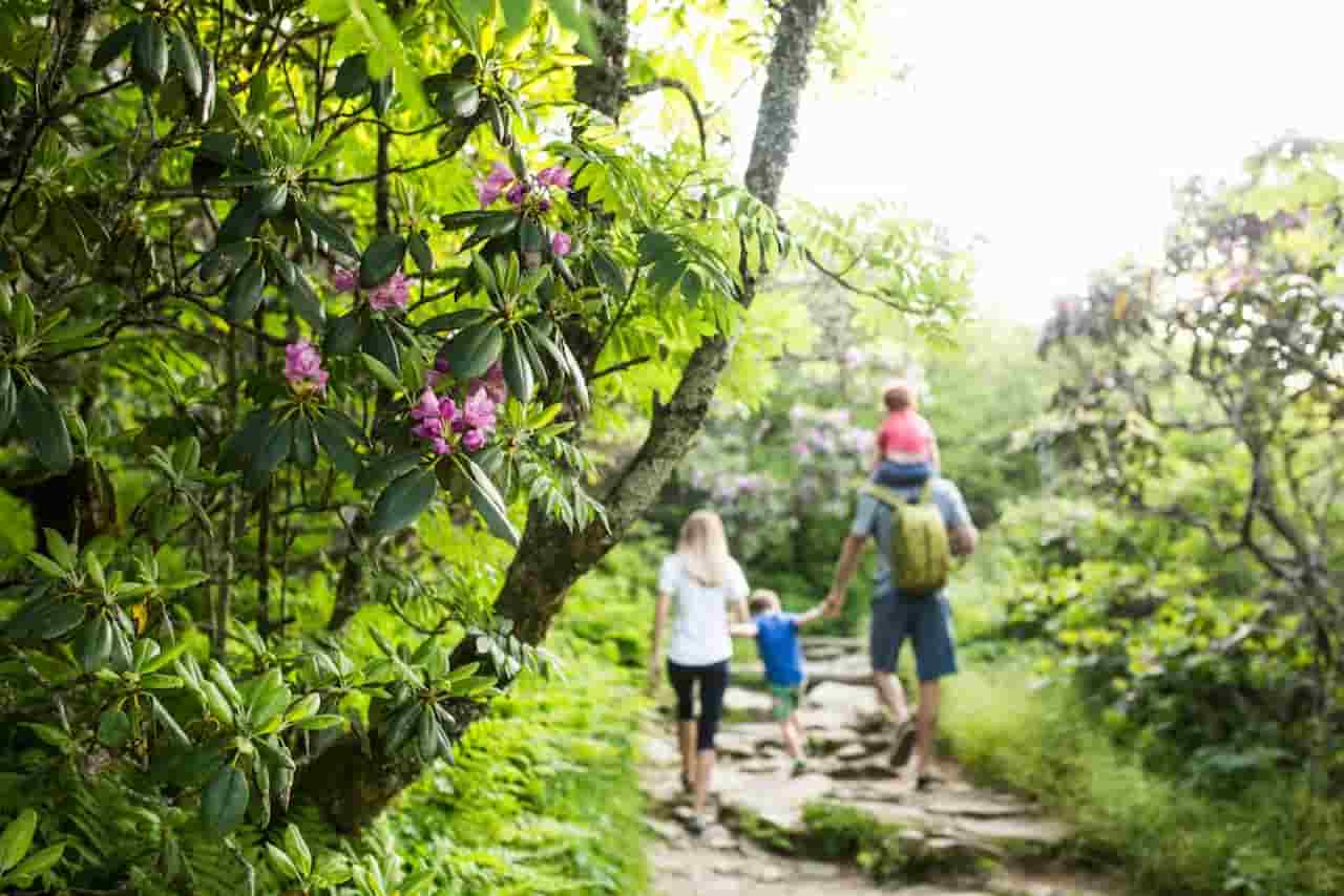 What Is The Best Month To Visit Asheville North Carolina Spring