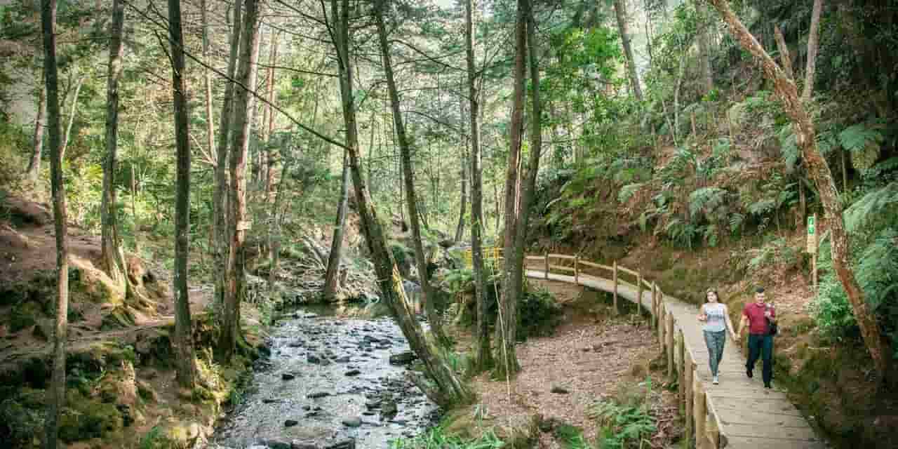 When Is The Best Time To Visit Medellin Parque Arvi