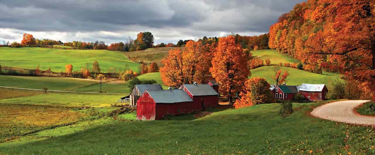 Woodstock