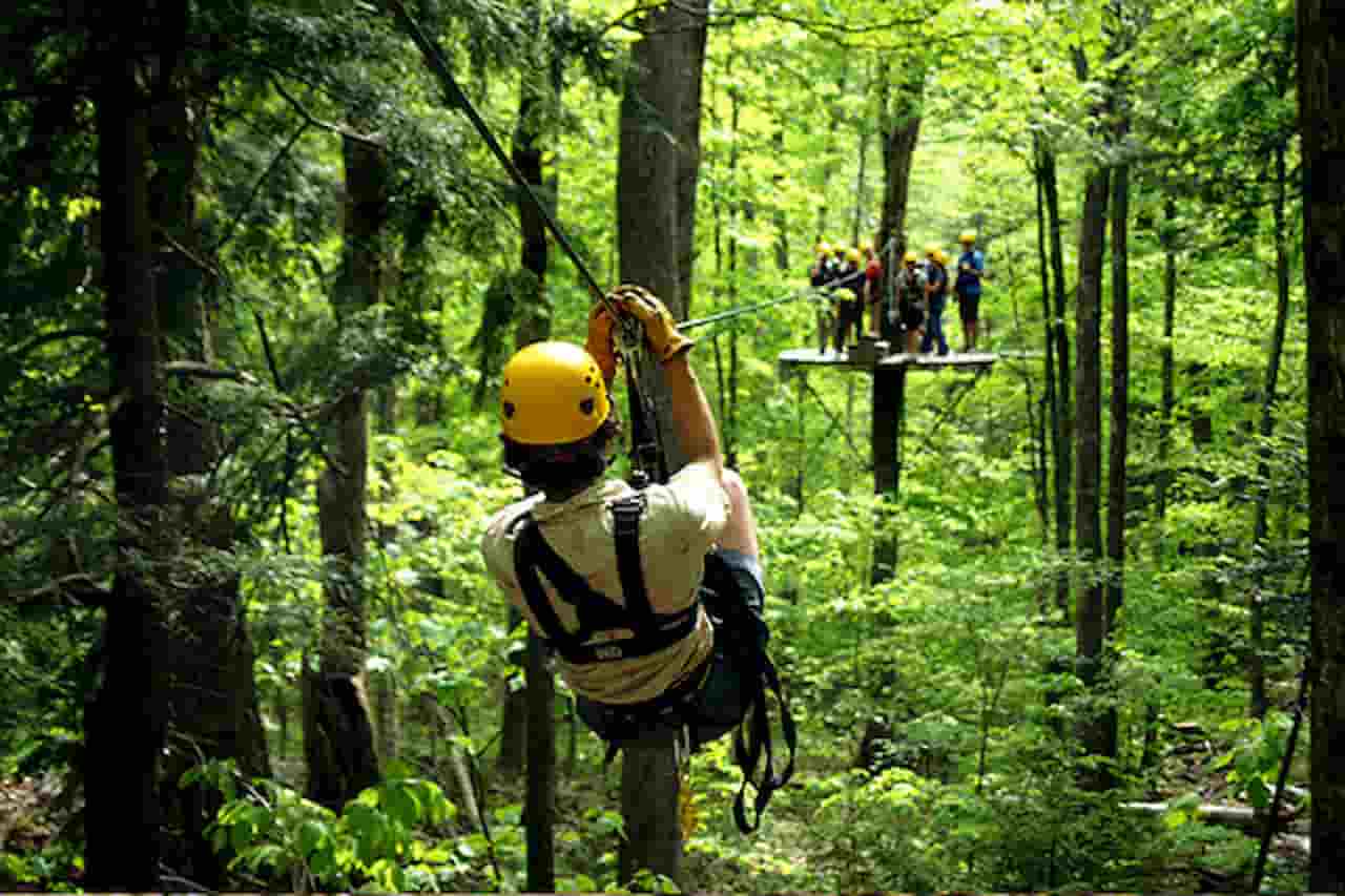 Ziplining at ArborTrek Canopy Adventures