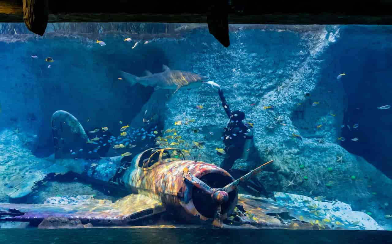 the national aquarium al qana scaled 1