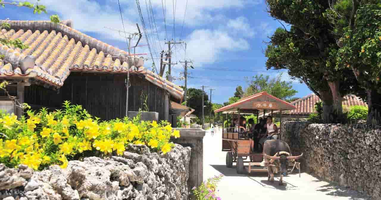what is the best month to visit okinawa Taketomi Island