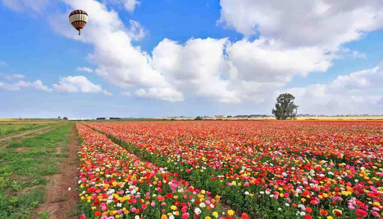 what is the best time of year to visit israel Spring