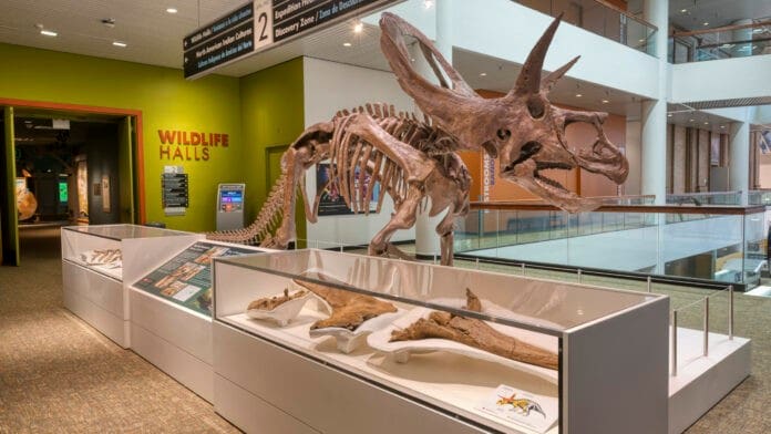what is the best time to visit Denver Denver Museum of Nature Science