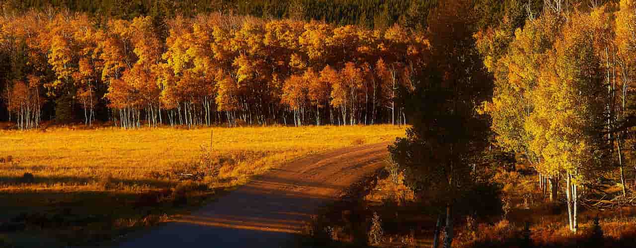 what is the best time to visit Denver Fall