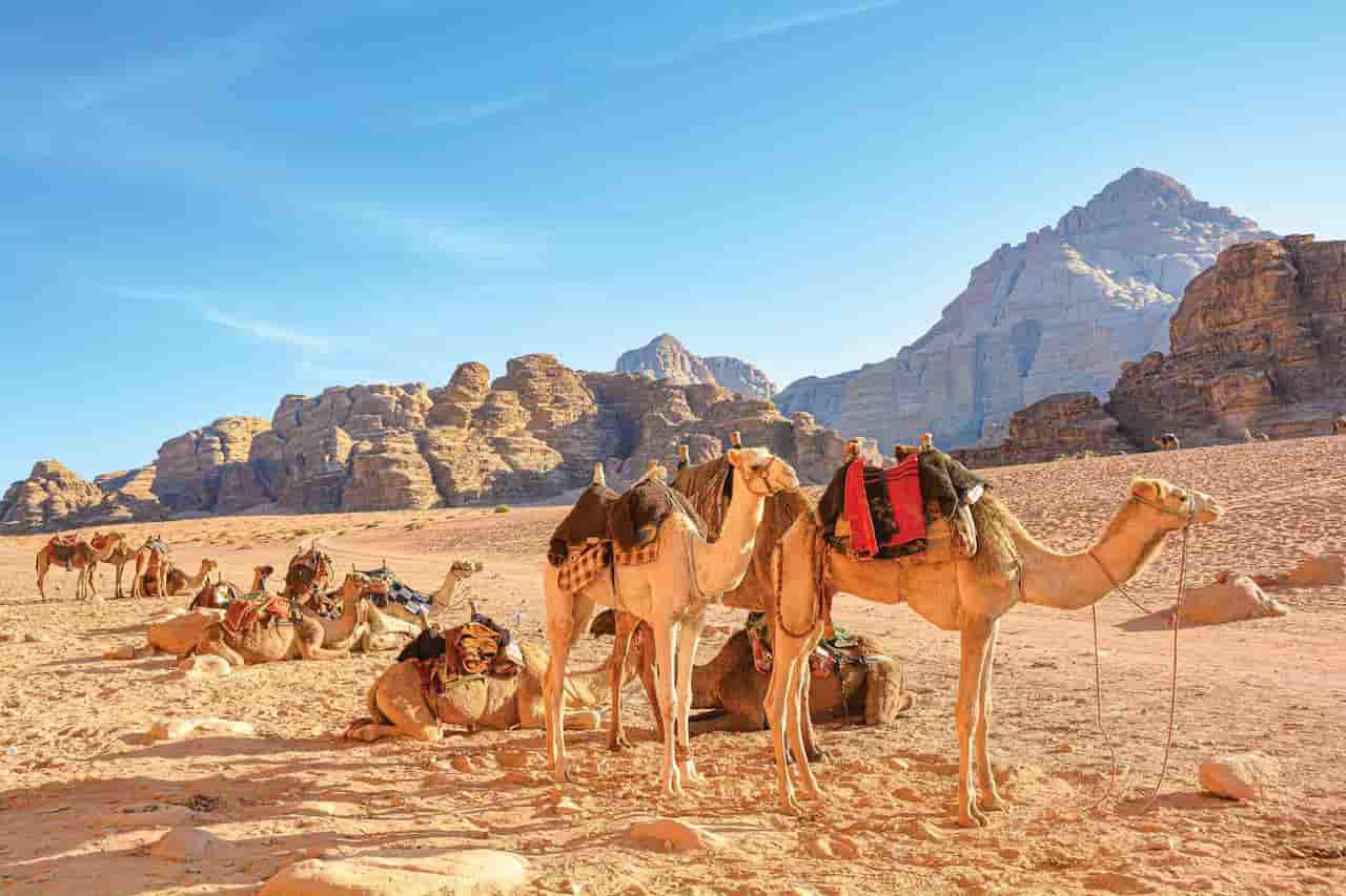 when is the best time to visit egypt and jordan Spring