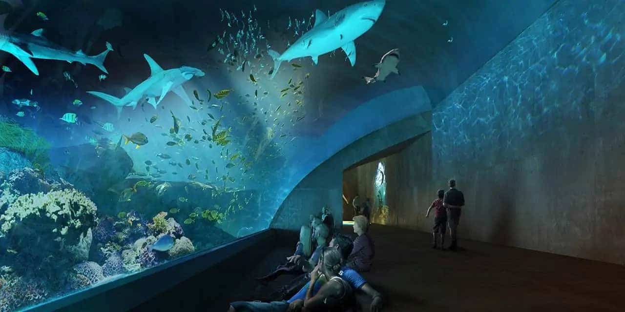 when is the best time to visit mazatlan Mazatlan Aquarium