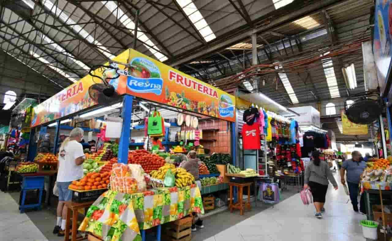when is the best time to visit mazatlan Mercado Pino Suarez