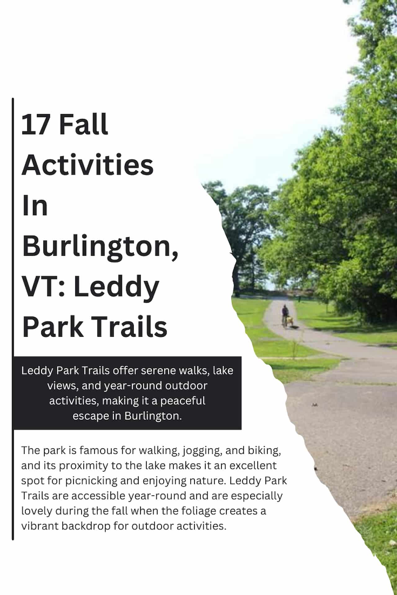17 Fall Activities In Burlington VT Leddy Park Trails
