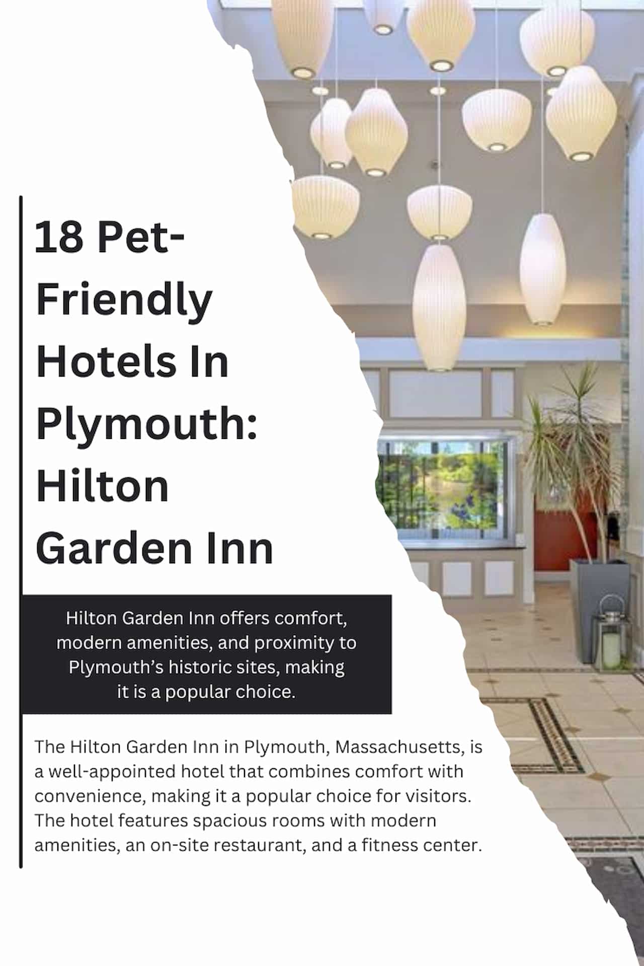 18 Pet Friendly Hotels In Plymouth Hilton Garden Inn