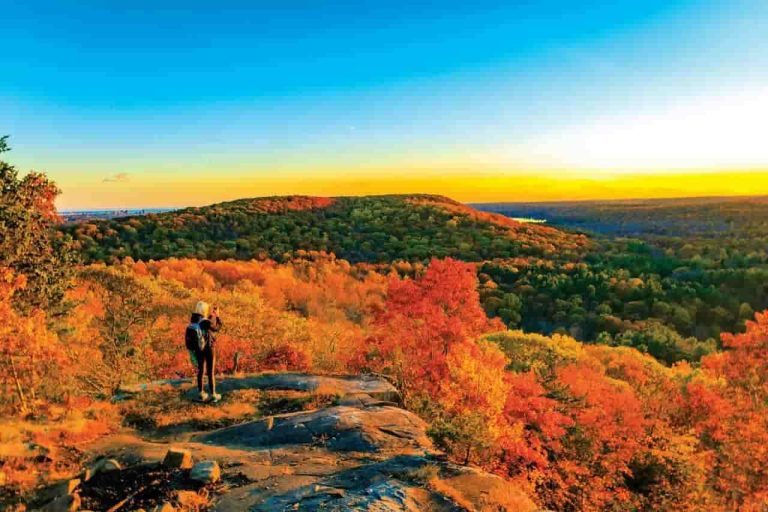 New England