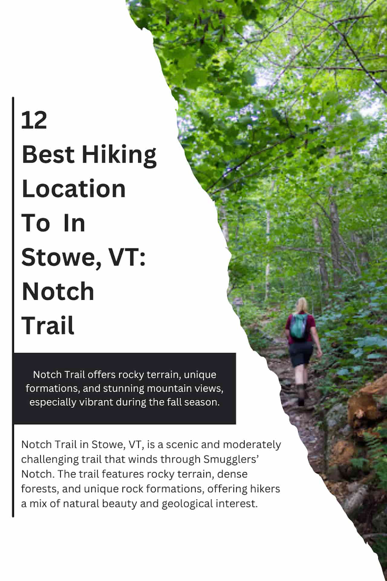12 Best Hiking Location To In Stowe VT Notch Trail