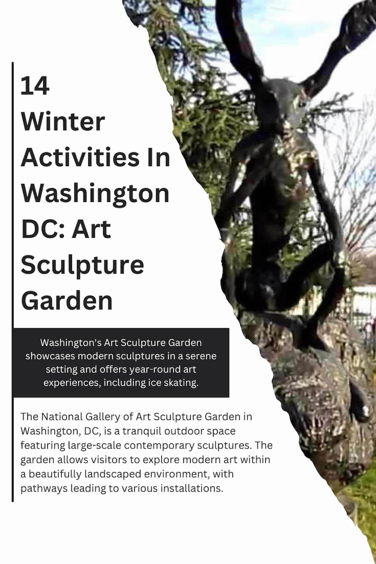 14 Winter Activities In Washington DC Art Sculpture Garden