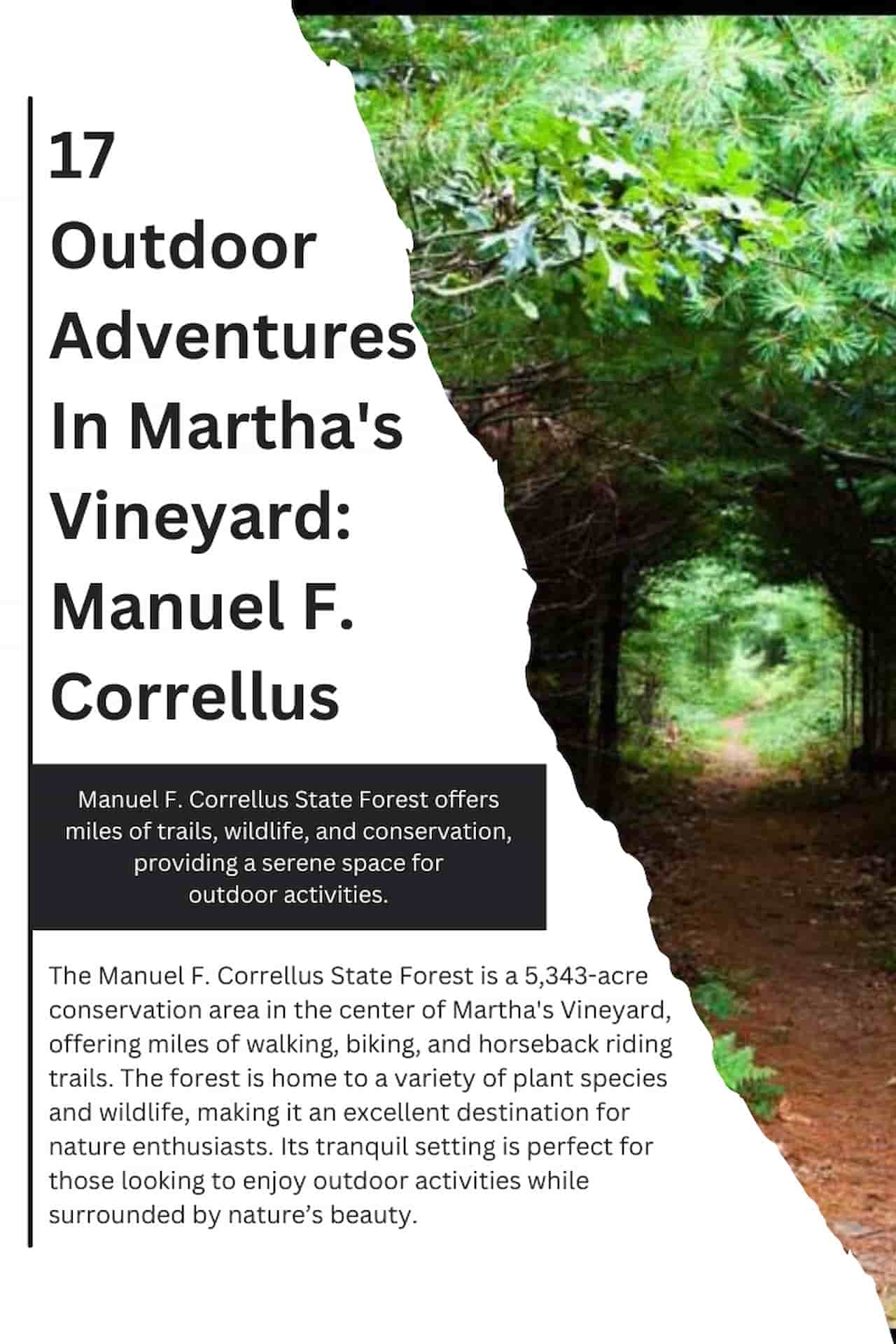 17 Outdoor Adventures In Marthas Vineyard Manuel F. Correllus