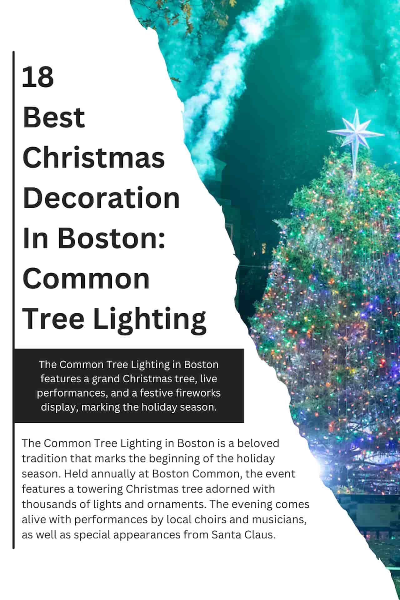 18 Best Christmas Decoration In Boston Common Tree Lighting