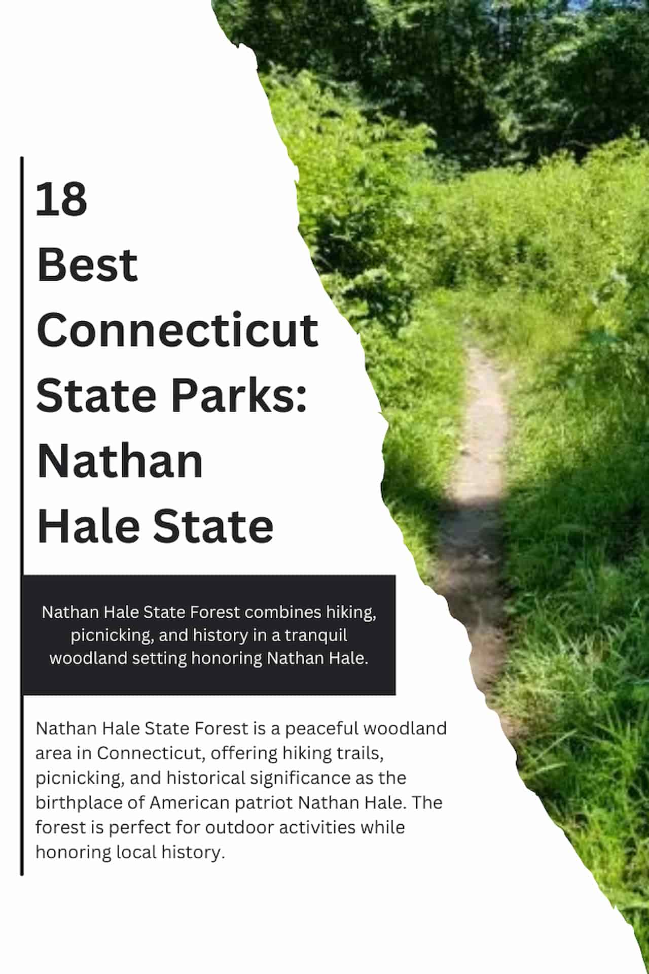 18 Best Connecticut State Parks Nathan Hale State
