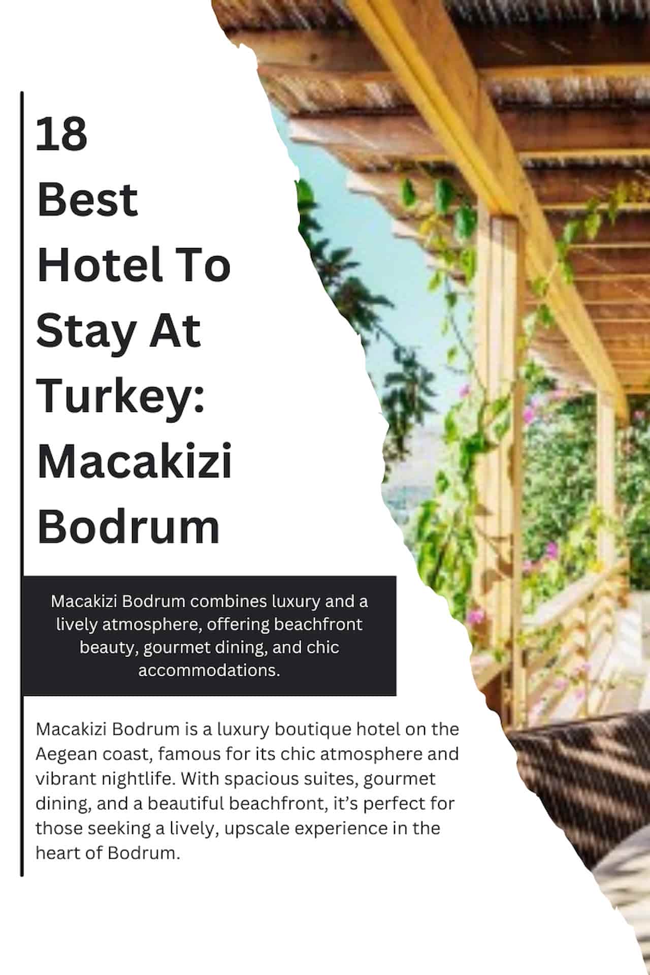 18 Best Hotel To Stay At Turkey Macakizi Bodrum