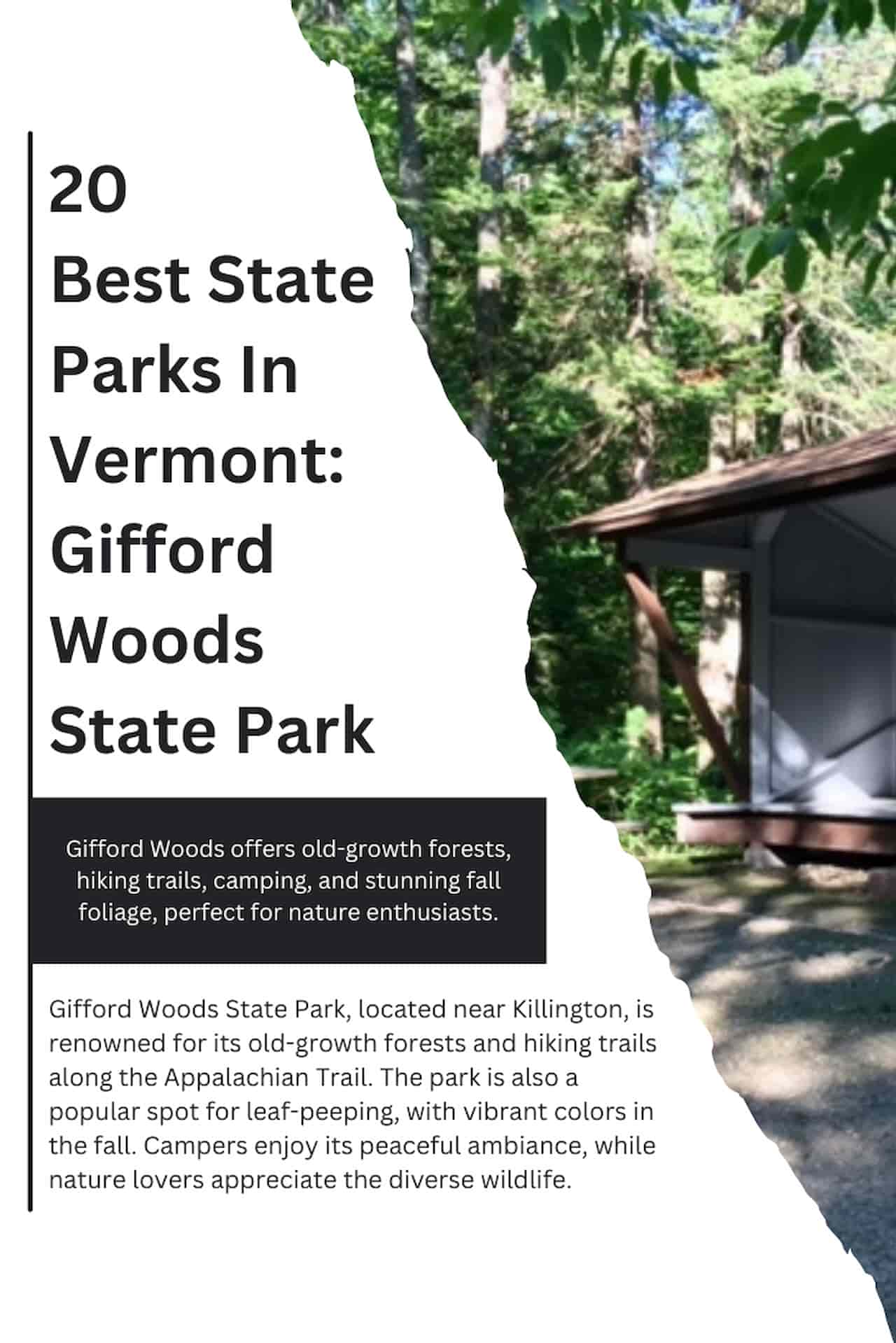 20 Best State Parks In Vermont Gifford Woods State Park