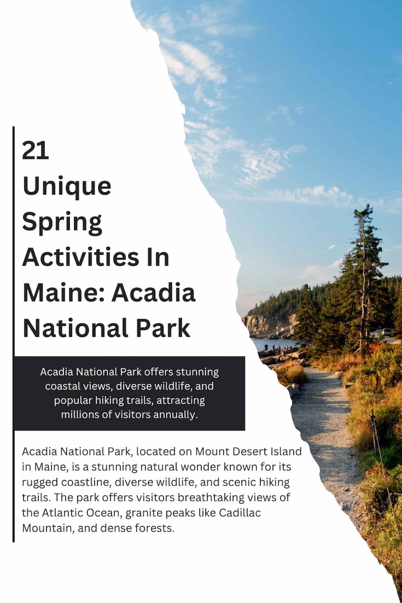21 Unique Spring Activities In Maine Acadia National Park