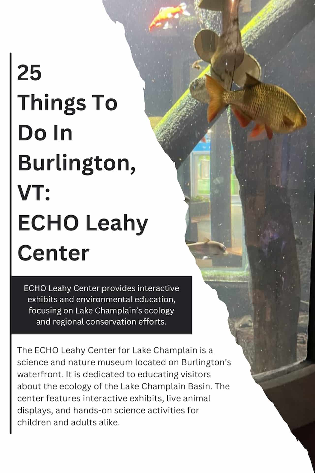 25 Things To Do In Burlington VT ECHO Leahy Center