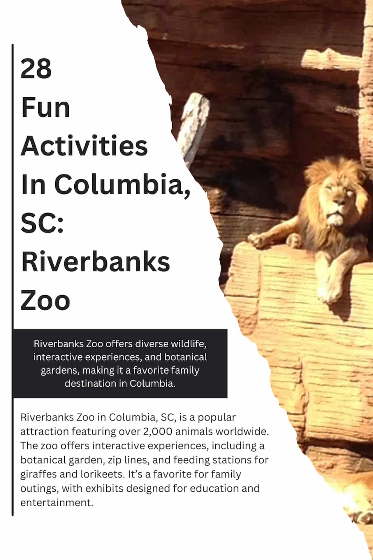 28 Fun Activities In Columbia SC Riverbanks Zoo