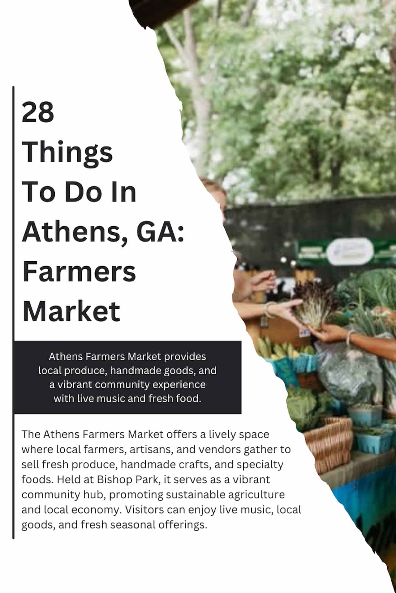 28 Things To Do In Athens GA Farmers Market
