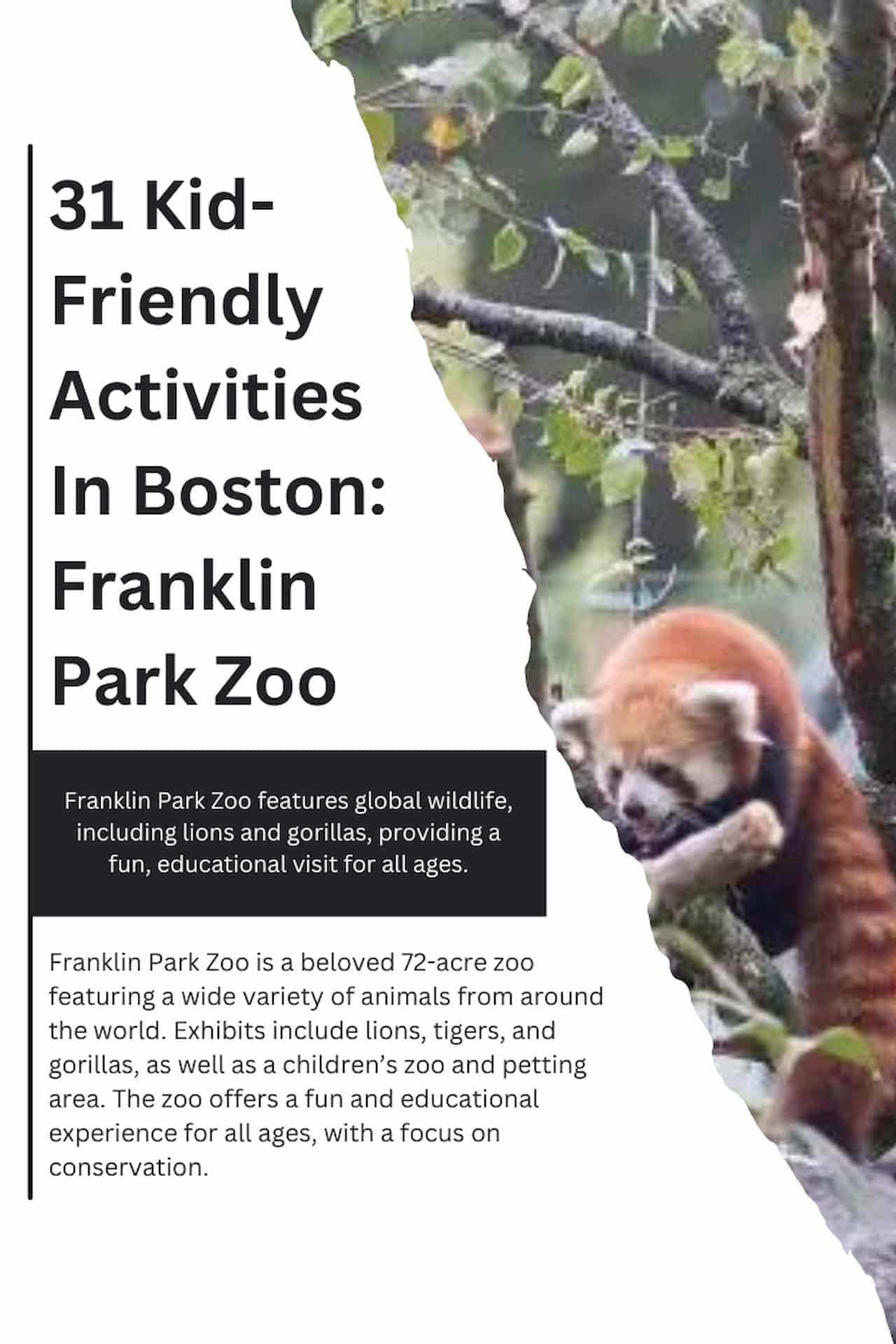 31 Kid Friendly Activities In Boston Franklin Park Zoo