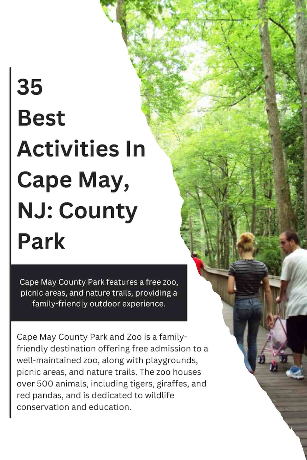 35 Best Activities In Cape May NJ County Park