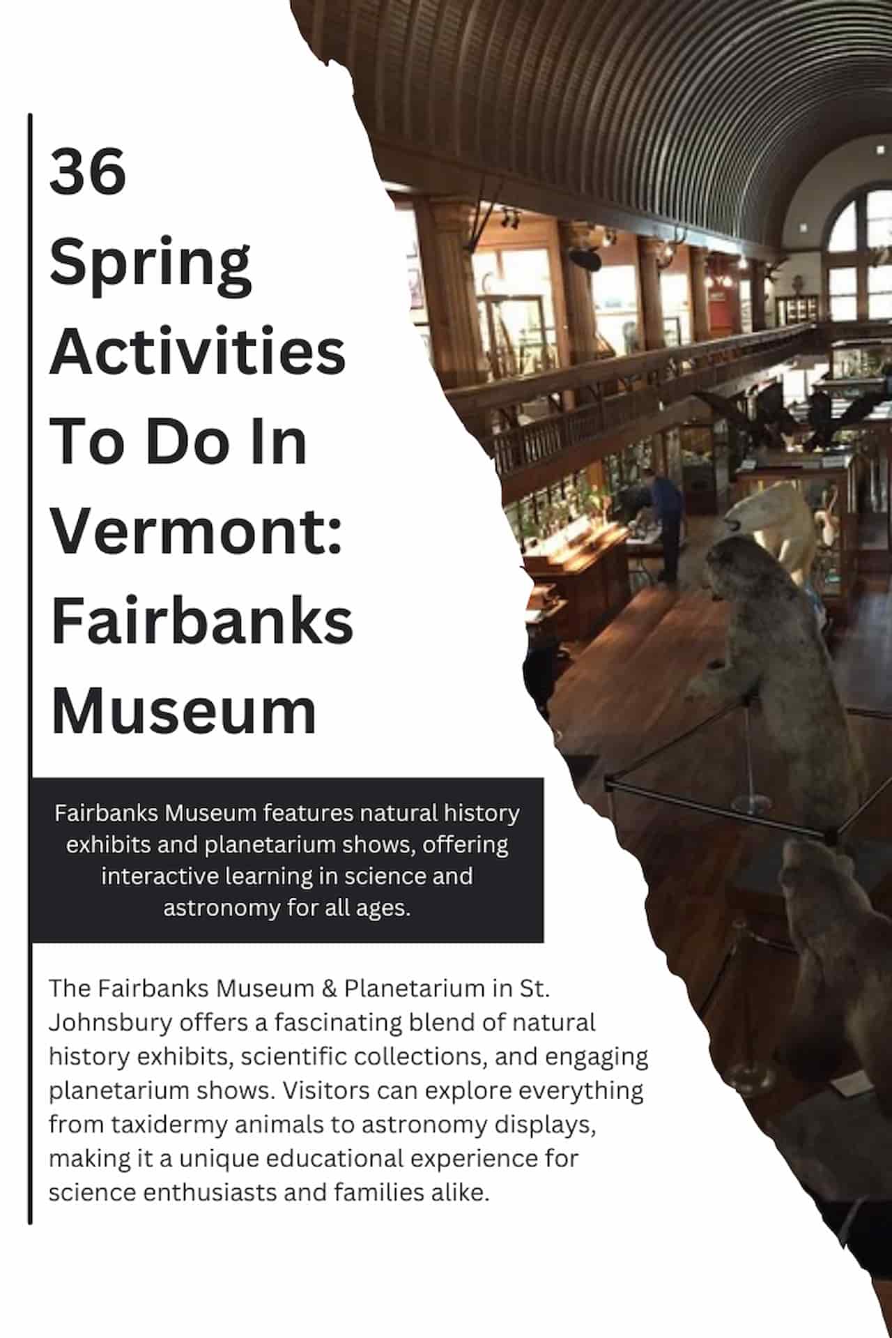 36 Spring Activities To Do In Vermont Fairbanks Museum