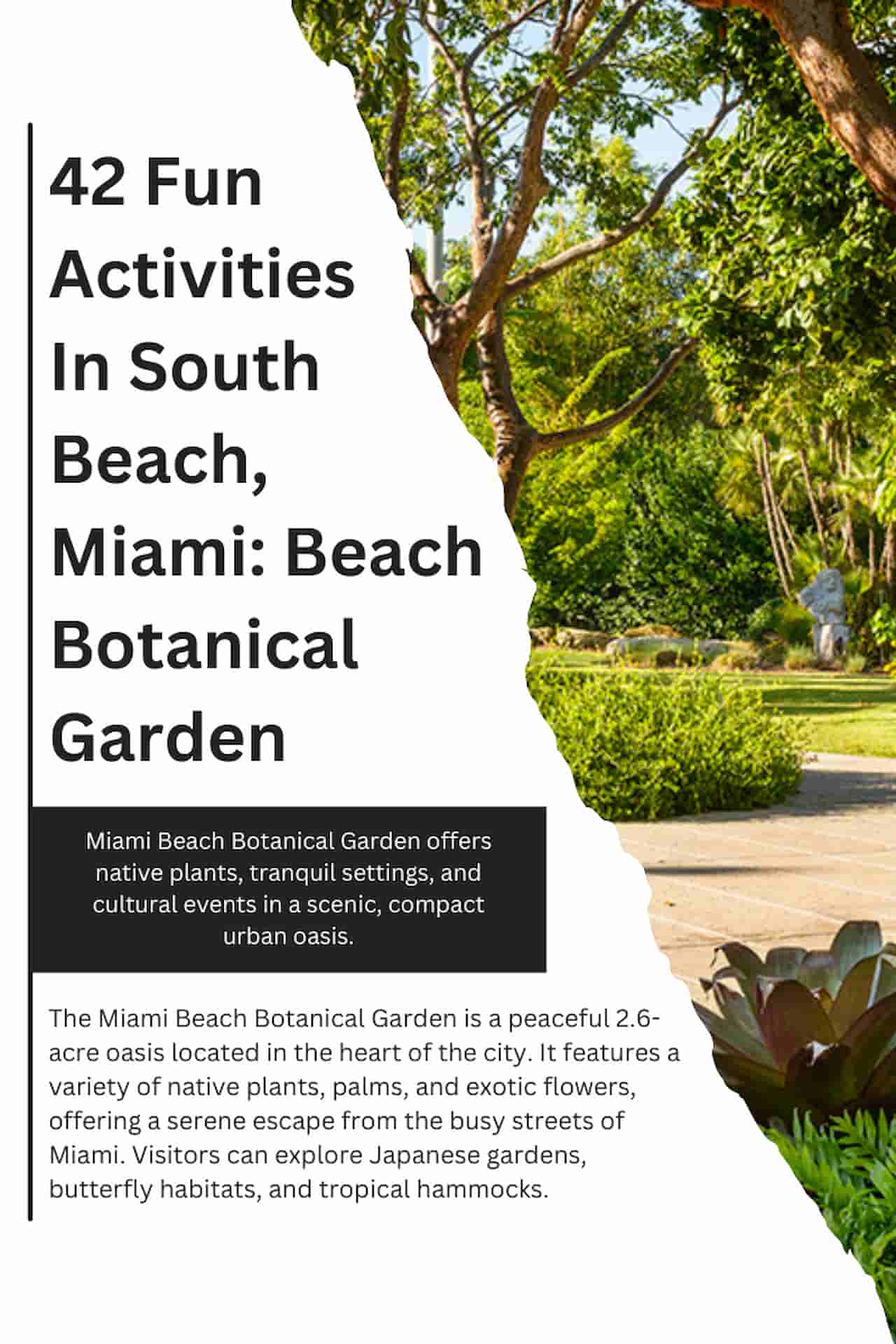 42 Fun Activities In South Beach Miami Beach Botanical Garden