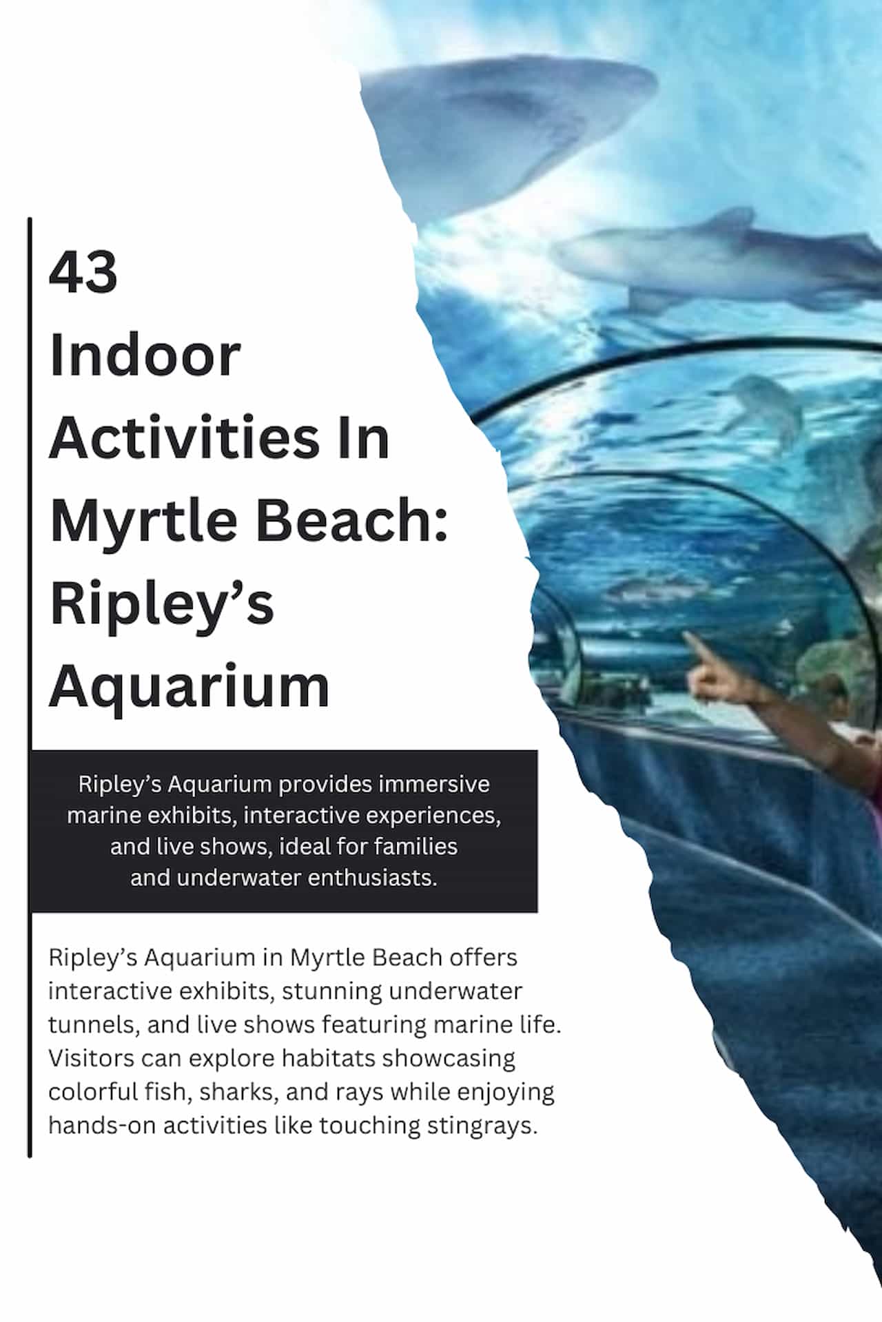 43 Indoor Activities In Myrtle Beach Ripleys Aquarium