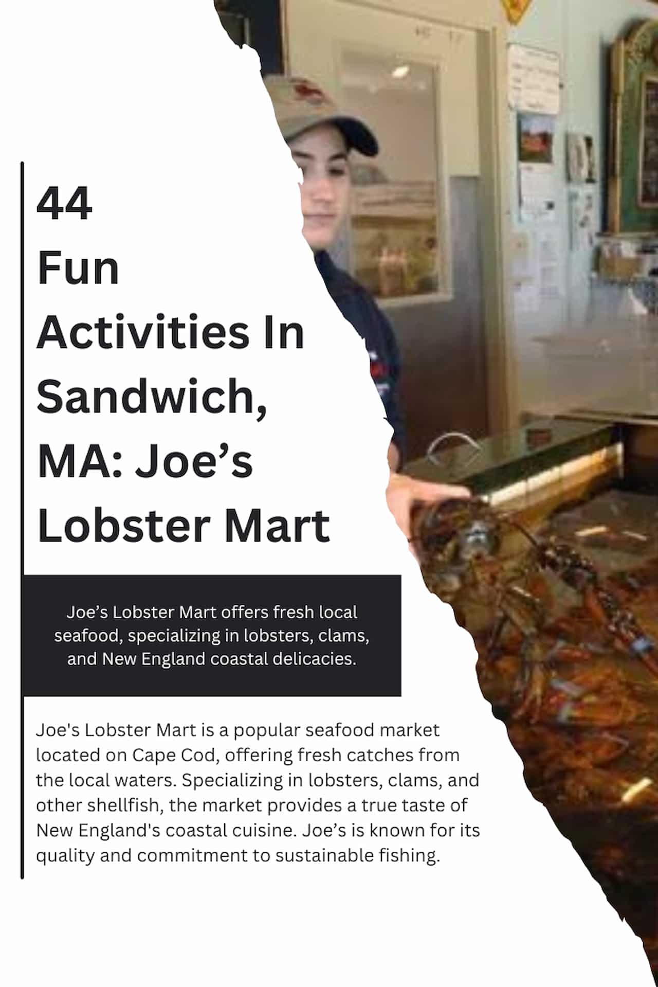 44 Fun Activities In Sandwich MA Joes Lobster Mart