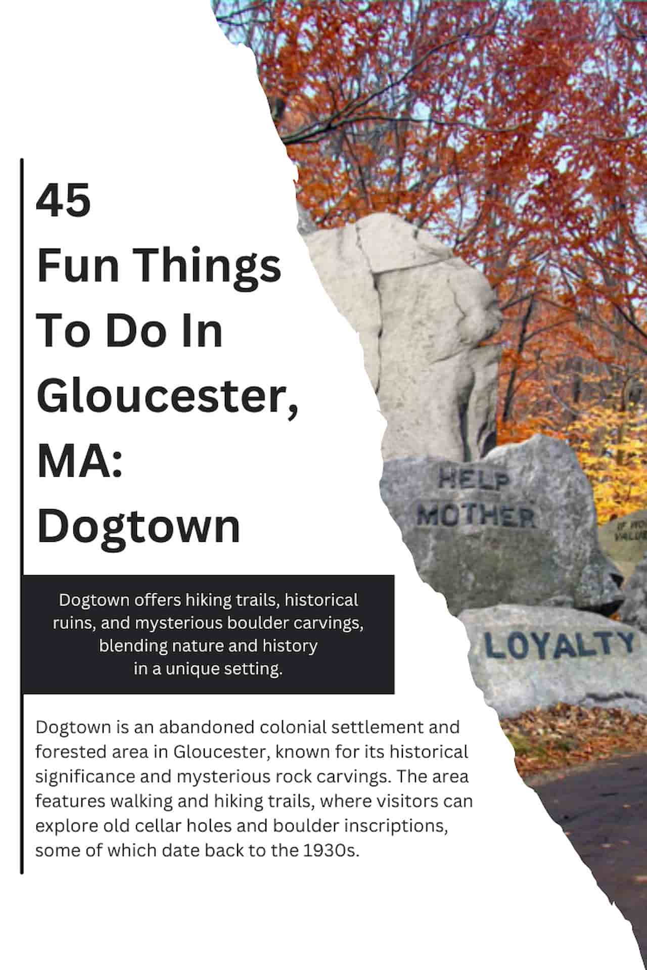 45 Fun Things To Do In Gloucester MA Dogtown