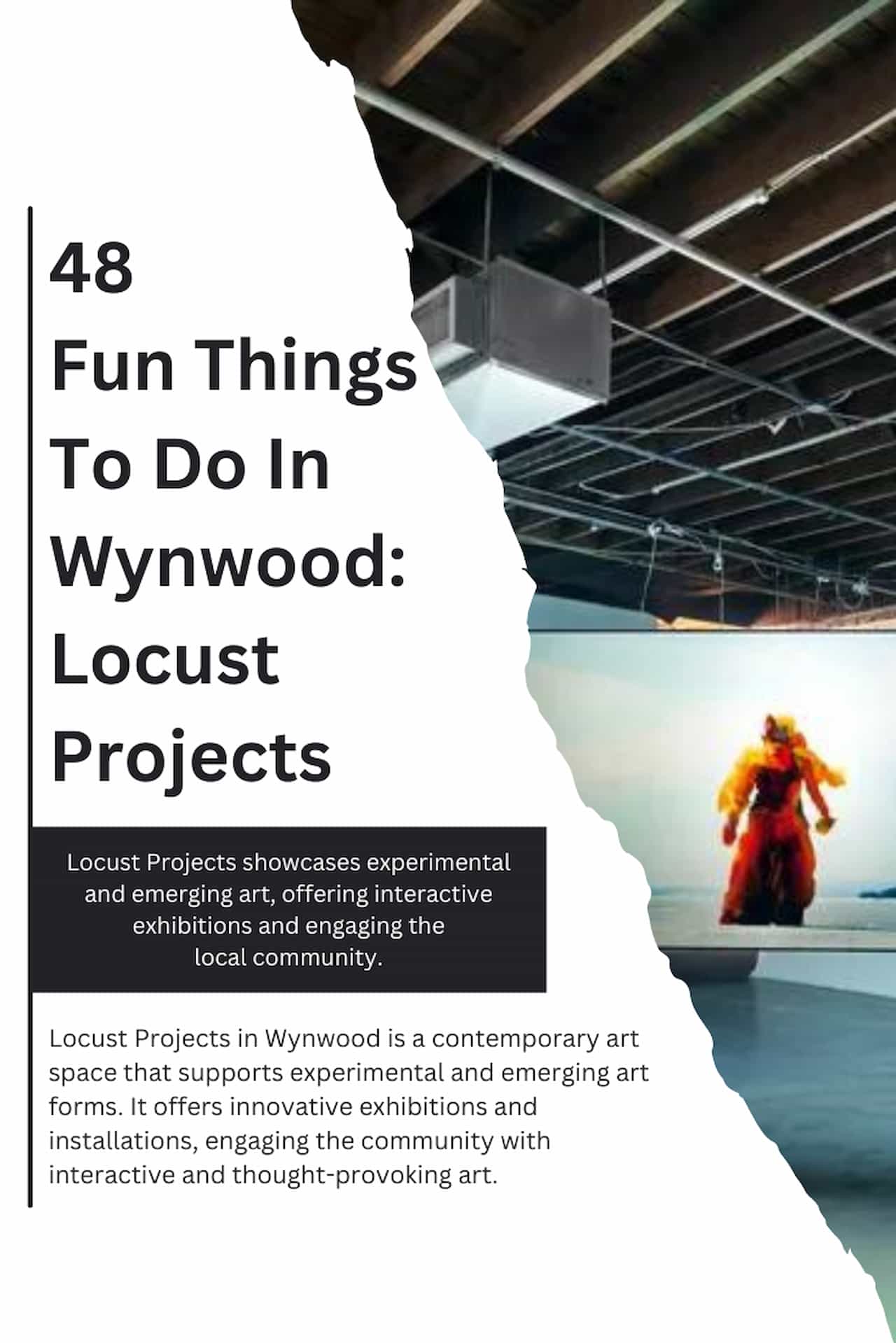48 Fun Things To Do In Wynwood Locust Projects