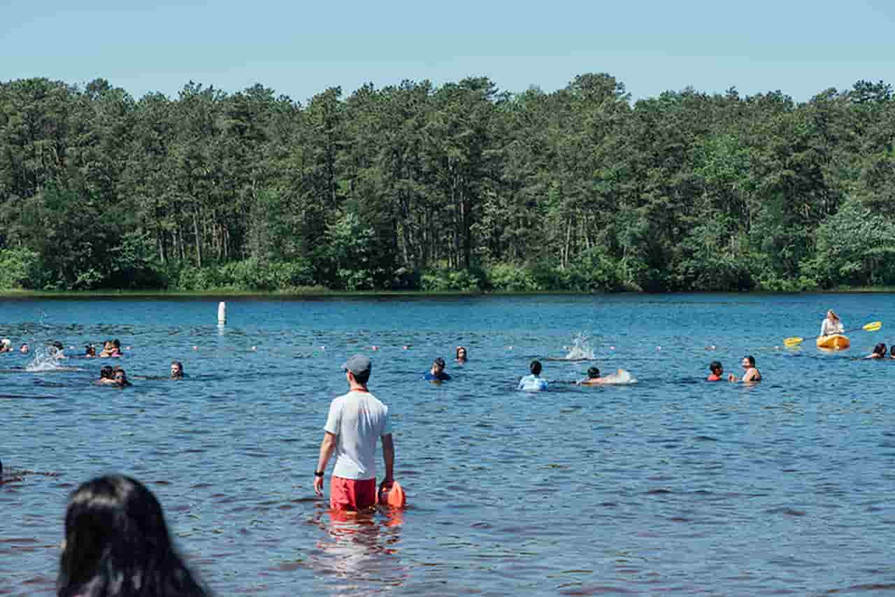 Bass River State Forest