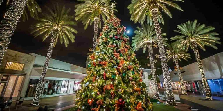 Christmas in Miami