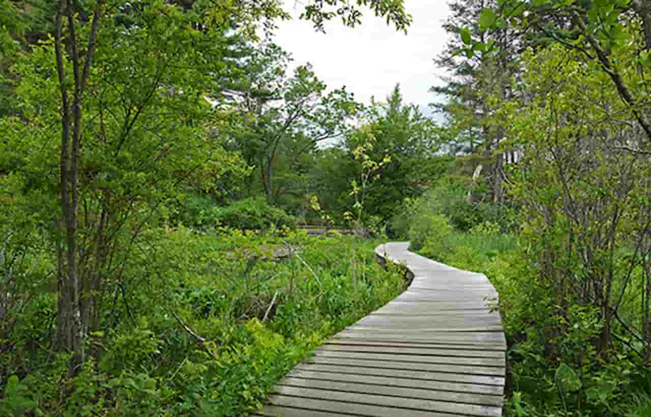 Ipswich River Wildlife Sanctuary