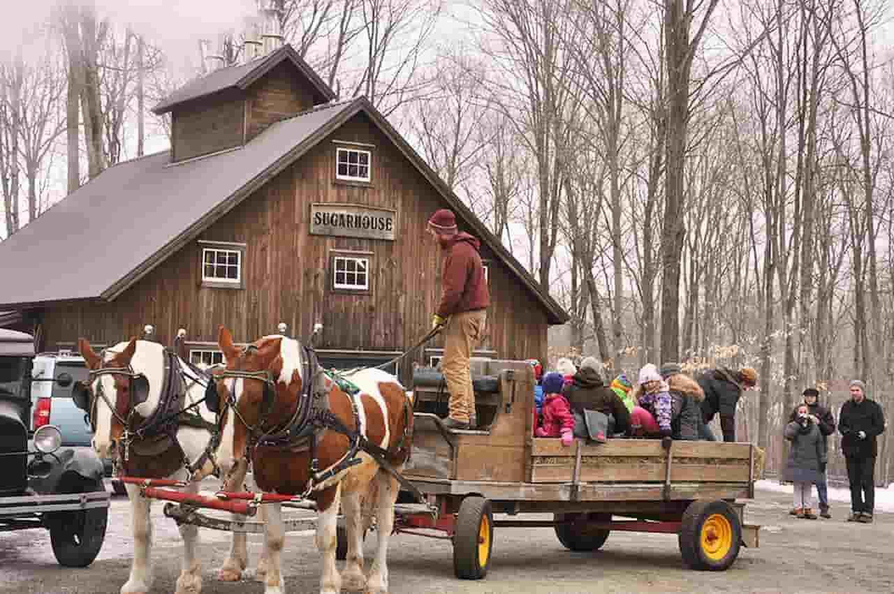 Maple Open House Weekend