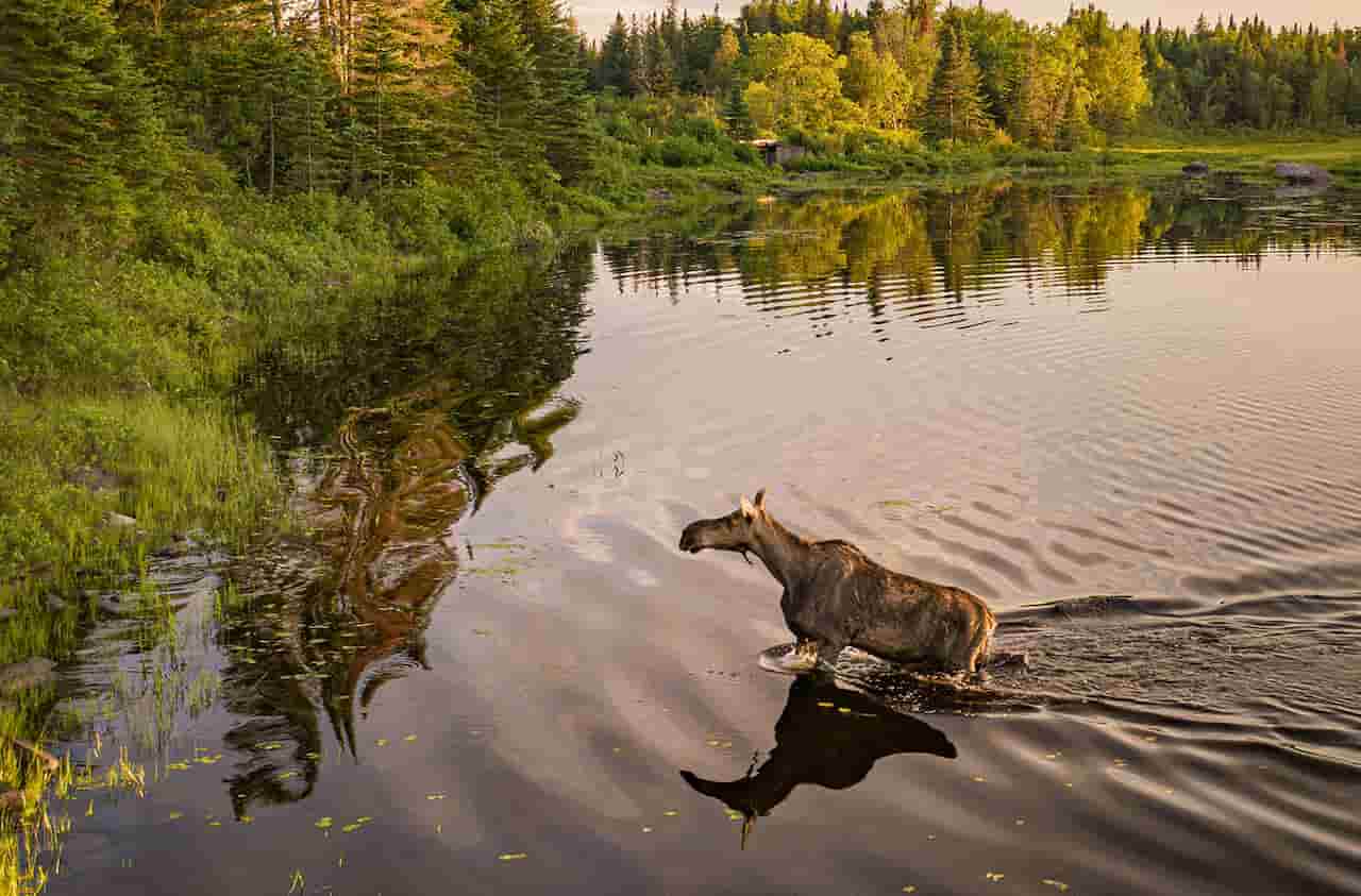 Moosehead Lake Region Maine